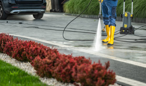 Best Dumpster Area Cleaning  in Halls, TN