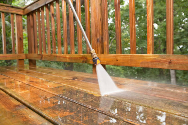 Best Factory Floor Cleaning  in Halls, TN